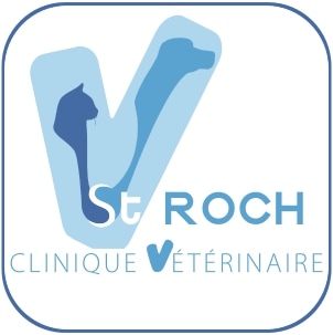 clinique vétérinaire saint-roch