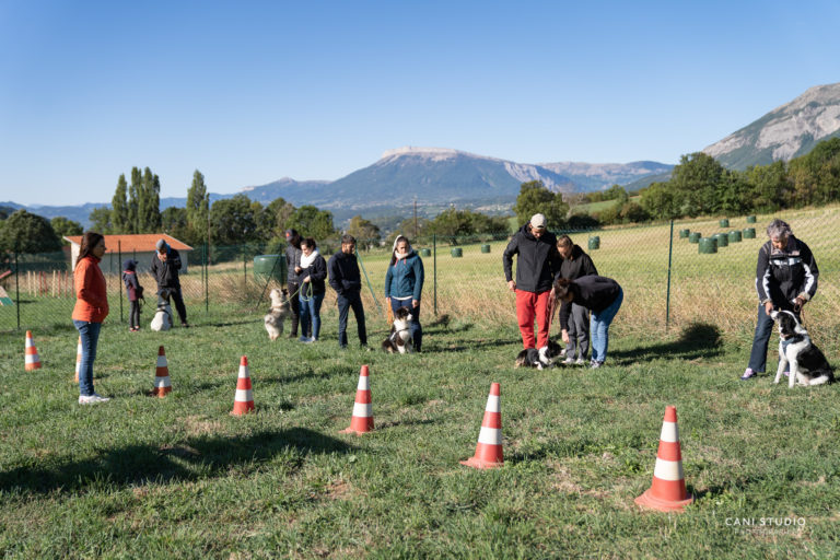 Cours Collectif d'éducation canine à Gap