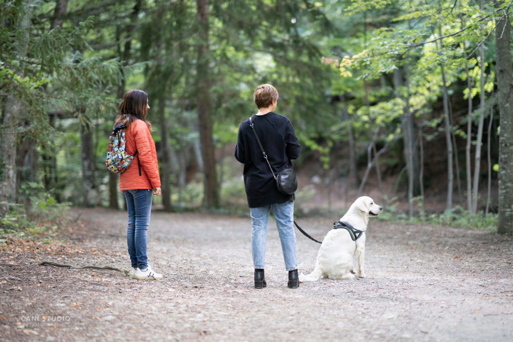 Cours individuel d'éducation canine