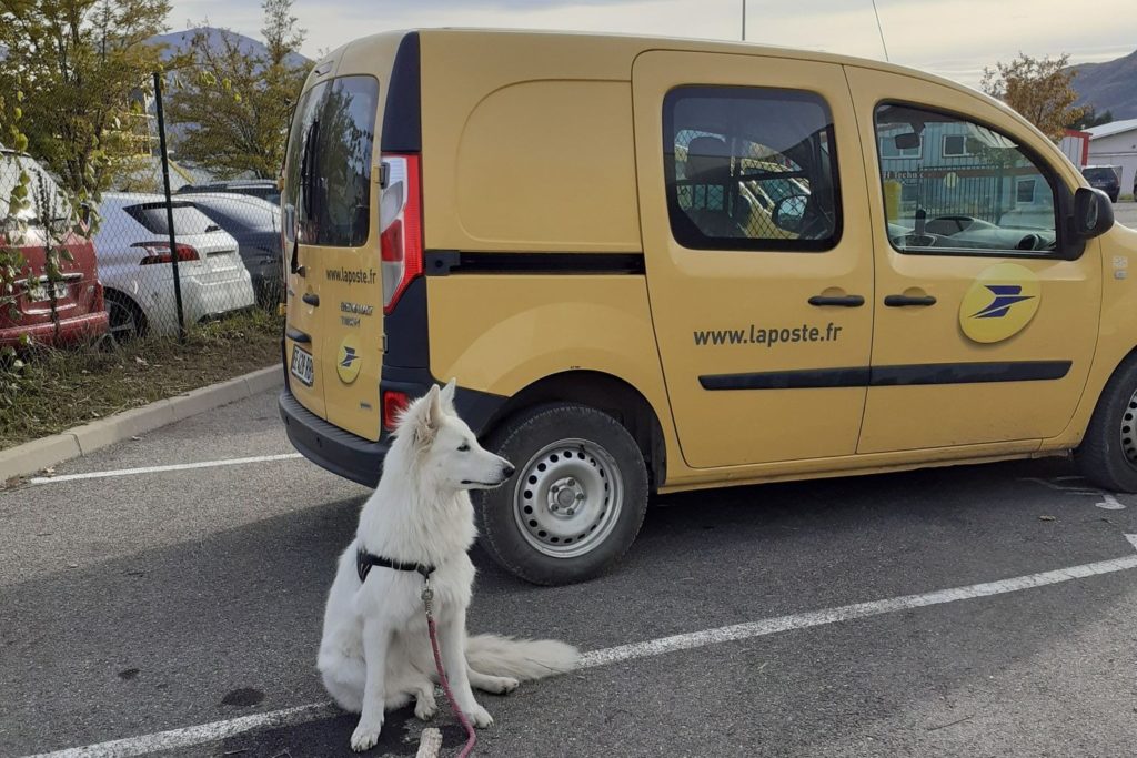 Prévention morsure à la poste