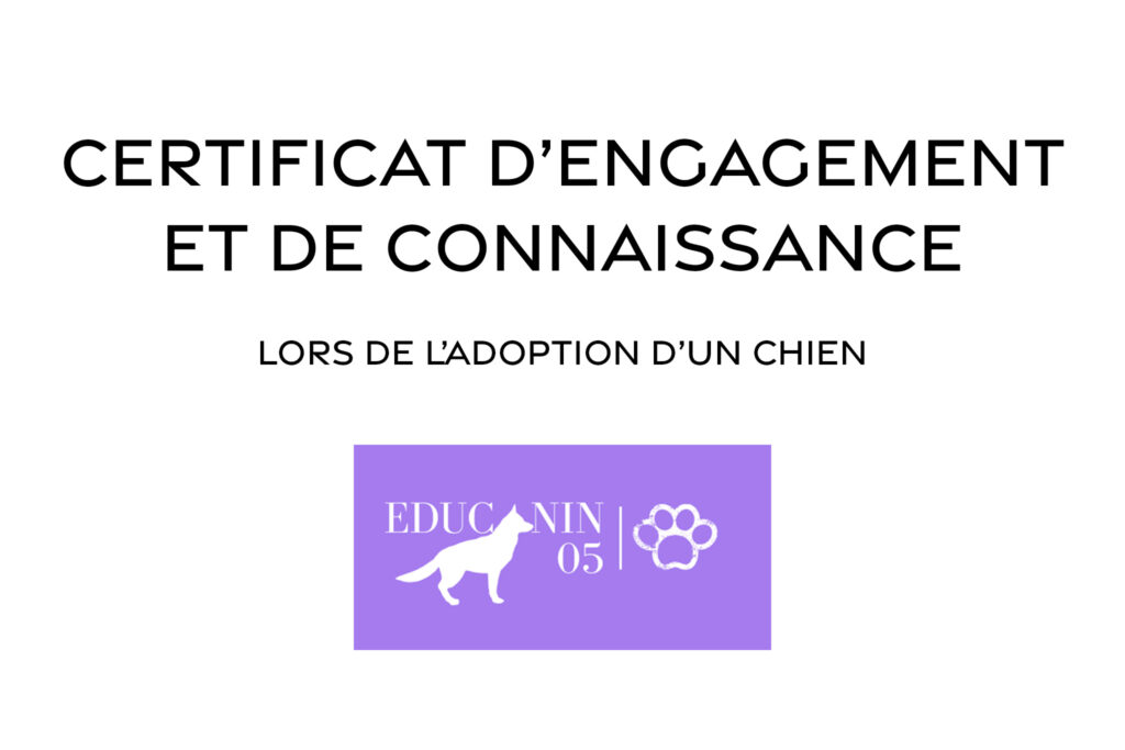 Certificat d'engagement et de connaissance